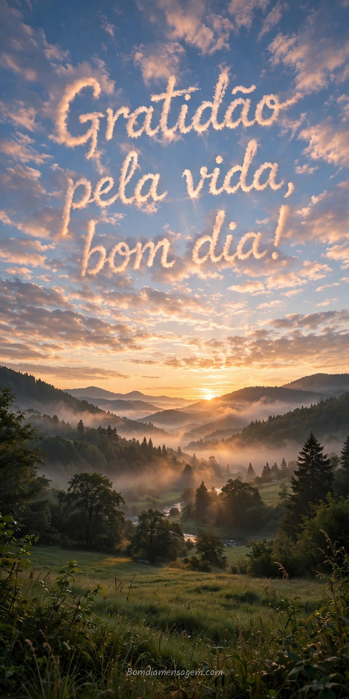 Mensagem de bom dia gratidão 2